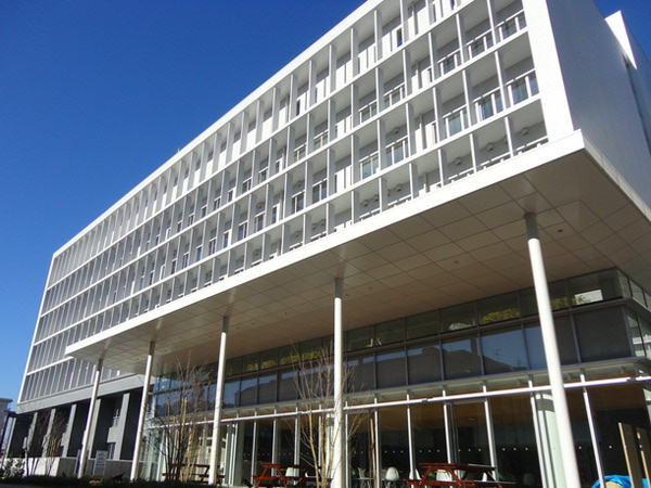 茅ヶ崎市役所の写真です。